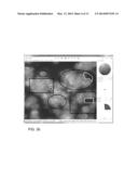 AUTOMATED FISH READER USING LEARNING MACHINES diagram and image