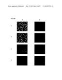 CYANINE COMPOUNDS diagram and image