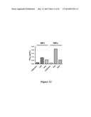 High Affinity Antibodies That Neutralize Staphylococcus Enterotoxin B diagram and image