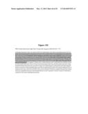 High Affinity Antibodies That Neutralize Staphylococcus Enterotoxin B diagram and image