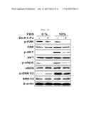 Activin Receptor Type II B Inhibitors Comprising DLK1 Extracellular     Water-Soluble Domain diagram and image