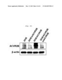 Activin Receptor Type II B Inhibitors Comprising DLK1 Extracellular     Water-Soluble Domain diagram and image