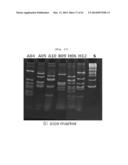 Activin Receptor Type II B Inhibitors Comprising DLK1 Extracellular     Water-Soluble Domain diagram and image