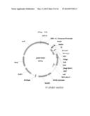 Activin Receptor Type II B Inhibitors Comprising DLK1 Extracellular     Water-Soluble Domain diagram and image