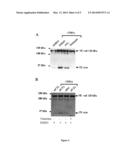 METHOD OF TREATING RHEUMATOID ARTHRITIS diagram and image