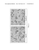 EX VIVO, FAST AND EFFICIENT PROCESS TO OBTAIN ACTIVATED ANTIGEN-PRESENTING     CELLS THAT ARE USEFUL FOR THERAPIES AGAINST CANCER AND IMMUNE     SYSTEM-RELATED DISEASES diagram and image