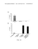 EX VIVO, FAST AND EFFICIENT PROCESS TO OBTAIN ACTIVATED ANTIGEN-PRESENTING     CELLS THAT ARE USEFUL FOR THERAPIES AGAINST CANCER AND IMMUNE     SYSTEM-RELATED DISEASES diagram and image