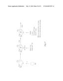 ANTITUMOR VACCINATION USING ALLOGENEIC TUMOR CELLS EXPRESSING ALPHA     (1,3)-GALACTOSYLTRANSFERASE diagram and image