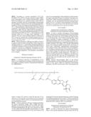 Block Copolymer For Intraperitoneal Administration Containing Anti-Cancer     Agent, Micelle Preparation Thereof, And Cancer Therapeutic Agent     Comprising The Micelle Preparation As Active Ingredient diagram and image