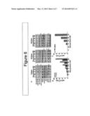 COMBINATIONS AND MODES OF ADMINISTRATION OF THERAPEUTIC AGENTS AND     COMBINATION THERAPY diagram and image