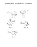 POLYMER-EPOTHILONE CONJUGATES, PARTICLES, COMPOSITIONS AND RELATED METHODS     OF USE diagram and image