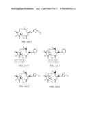 POLYMER-EPOTHILONE CONJUGATES, PARTICLES, COMPOSITIONS AND RELATED METHODS     OF USE diagram and image