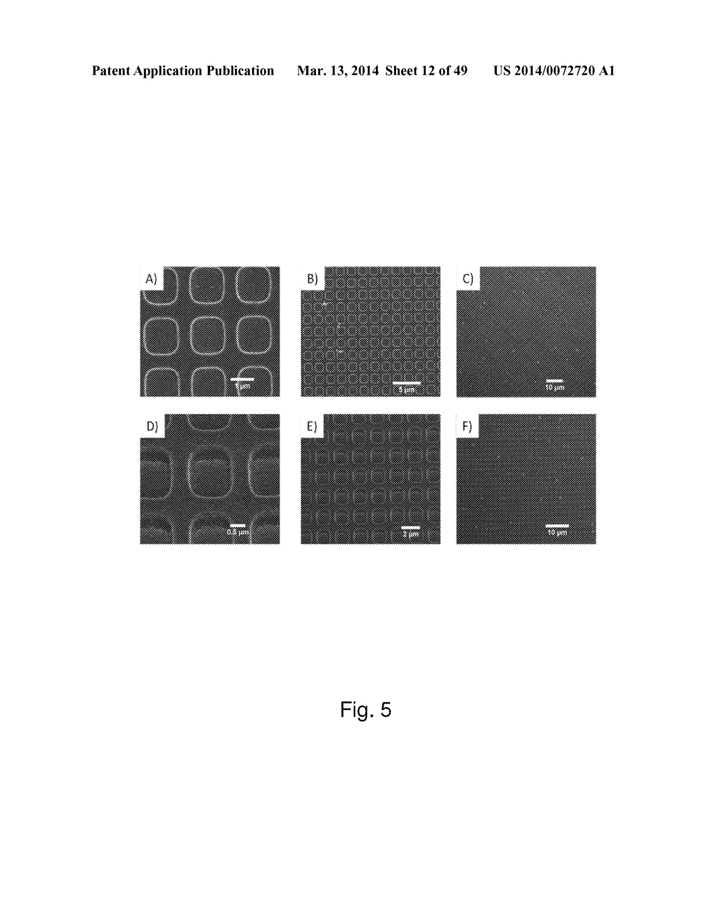 PATTERNED NANOPARTICLE STRUCTURES - diagram, schematic, and image 13