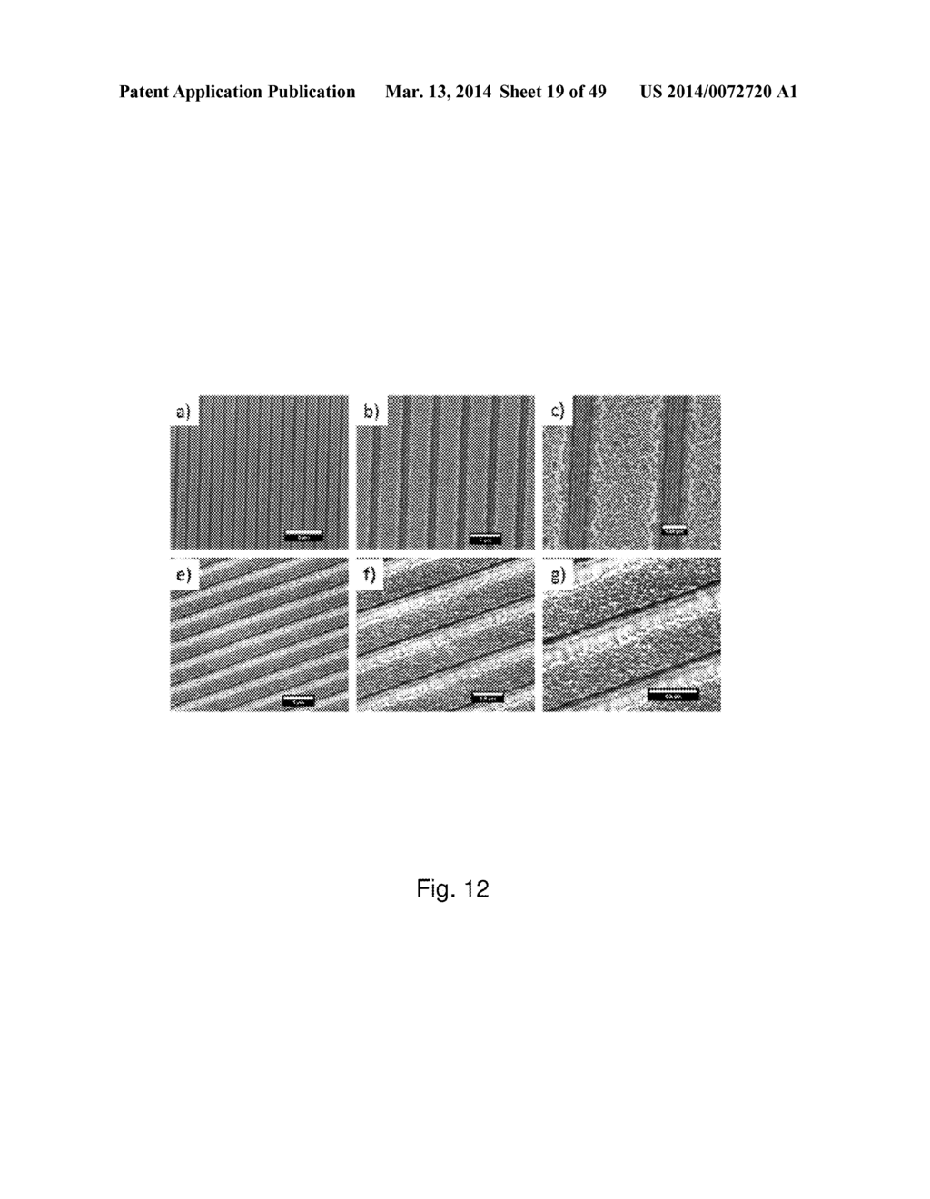 PATTERNED NANOPARTICLE STRUCTURES - diagram, schematic, and image 20