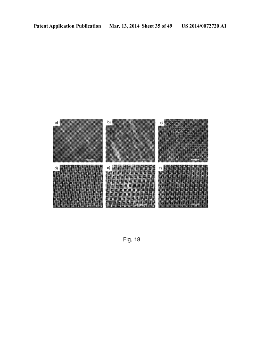 PATTERNED NANOPARTICLE STRUCTURES - diagram, schematic, and image 36