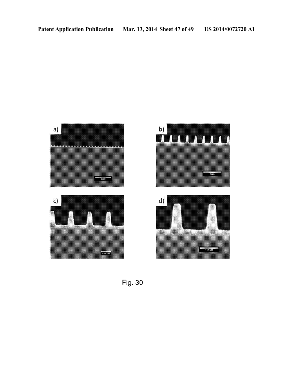 PATTERNED NANOPARTICLE STRUCTURES - diagram, schematic, and image 48