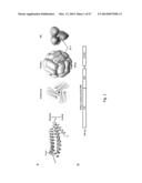 NOVEL INFLUENZA HEMAGGLUTININ PROTEIN-BASED VACCINES diagram and image