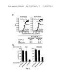 NOVEL INFLUENZA HEMAGGLUTININ PROTEIN-BASED VACCINES diagram and image