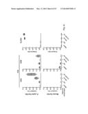 NOVEL INFLUENZA HEMAGGLUTININ PROTEIN-BASED VACCINES diagram and image