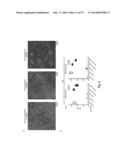 NOVEL INFLUENZA HEMAGGLUTININ PROTEIN-BASED VACCINES diagram and image