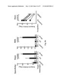 NOVEL INFLUENZA HEMAGGLUTININ PROTEIN-BASED VACCINES diagram and image