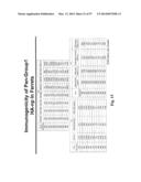 NOVEL INFLUENZA HEMAGGLUTININ PROTEIN-BASED VACCINES diagram and image