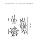 NOVEL INFLUENZA HEMAGGLUTININ PROTEIN-BASED VACCINES diagram and image