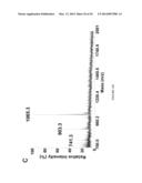 CYSTEINE HYDRAZIDE NICOTINAMIDE FOR GLYCOMICS AND GLYCOPROTEOMICS USES diagram and image