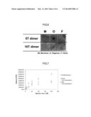 AMYLOID PROTEIN OLIGOMER-BINDING APTAMER diagram and image