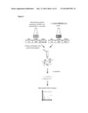 QUANTITATIVE STANDARD FOR MASS SPECTROMETRY OF PROTEINS diagram and image