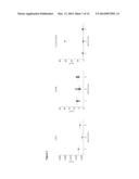 QUANTITATIVE STANDARD FOR MASS SPECTROMETRY OF PROTEINS diagram and image