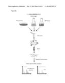 QUANTITATIVE STANDARD FOR MASS SPECTROMETRY OF PROTEINS diagram and image