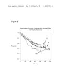 METHODS OF SIMULATING CHEMOTHERAPY FOR A PATIENT diagram and image