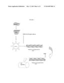 METHODS USING A PROGRESSIVE CAVITY PUMP BIOREACTOR diagram and image