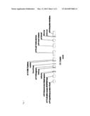 GENE CLUSTER FOR BIOSYNTHESIS OF CYCLOCLAVINE diagram and image