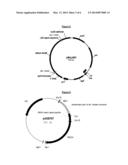 Methods for Producing Secreted Polypeptides diagram and image