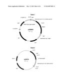 Methods for Producing Secreted Polypeptides diagram and image