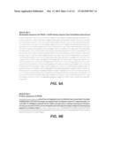 CELLULASE COMPOSITIONS AND METHODS OF USING THE SAME FOR IMPROVED     CONVERSION OF LIGNOCELLULOSIC BIOMASS INTO FERMENTABLE SUGARS diagram and image