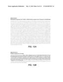 CELLULASE COMPOSITIONS AND METHODS OF USING THE SAME FOR IMPROVED     CONVERSION OF LIGNOCELLULOSIC BIOMASS INTO FERMENTABLE SUGARS diagram and image