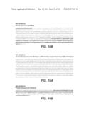 CELLULASE COMPOSITIONS AND METHODS OF USING THE SAME FOR IMPROVED     CONVERSION OF LIGNOCELLULOSIC BIOMASS INTO FERMENTABLE SUGARS diagram and image