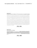 CELLULASE COMPOSITIONS AND METHODS OF USING THE SAME FOR IMPROVED     CONVERSION OF LIGNOCELLULOSIC BIOMASS INTO FERMENTABLE SUGARS diagram and image