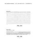 CELLULASE COMPOSITIONS AND METHODS OF USING THE SAME FOR IMPROVED     CONVERSION OF LIGNOCELLULOSIC BIOMASS INTO FERMENTABLE SUGARS diagram and image