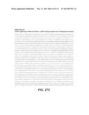 CELLULASE COMPOSITIONS AND METHODS OF USING THE SAME FOR IMPROVED     CONVERSION OF LIGNOCELLULOSIC BIOMASS INTO FERMENTABLE SUGARS diagram and image