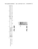 CELLULASE COMPOSITIONS AND METHODS OF USING THE SAME FOR IMPROVED     CONVERSION OF LIGNOCELLULOSIC BIOMASS INTO FERMENTABLE SUGARS diagram and image