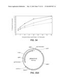 CELLULASE COMPOSITIONS AND METHODS OF USING THE SAME FOR IMPROVED     CONVERSION OF LIGNOCELLULOSIC BIOMASS INTO FERMENTABLE SUGARS diagram and image