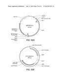 CELLULASE COMPOSITIONS AND METHODS OF USING THE SAME FOR IMPROVED     CONVERSION OF LIGNOCELLULOSIC BIOMASS INTO FERMENTABLE SUGARS diagram and image