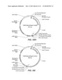 CELLULASE COMPOSITIONS AND METHODS OF USING THE SAME FOR IMPROVED     CONVERSION OF LIGNOCELLULOSIC BIOMASS INTO FERMENTABLE SUGARS diagram and image