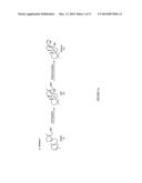 Sclareol and labdenediol diphosphate synthase polypeptides, encoding     nucleic acid molecules and uses thereof diagram and image