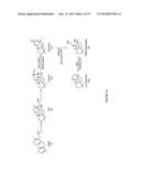 Sclareol and labdenediol diphosphate synthase polypeptides, encoding     nucleic acid molecules and uses thereof diagram and image