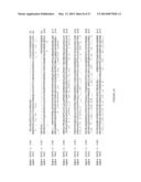 Sclareol and labdenediol diphosphate synthase polypeptides, encoding     nucleic acid molecules and uses thereof diagram and image